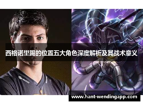 西格诺里踢的位置五大角色深度解析及其战术意义