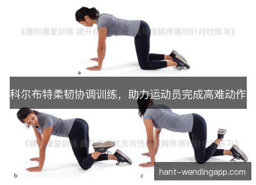 科尔布特柔韧协调训练,助力运动员完成高难动作 科尔布特柔韧协调训练,助力运动员完成高难动作