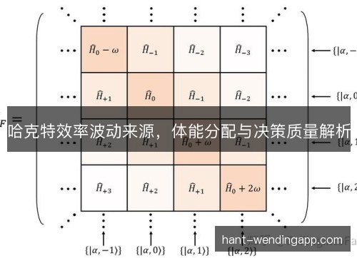 哈克特效率波动来源，体能分配与决策质量解析